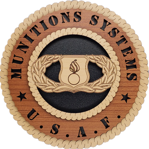 U.S. AIR FORCE MUNIITONS SYSTEMS L5
