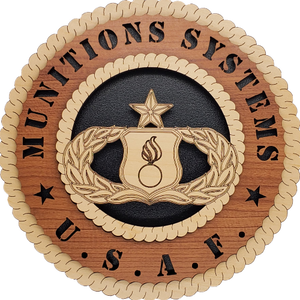 U.S. AIR FORCE MUNIITONS SYSTEMS L7