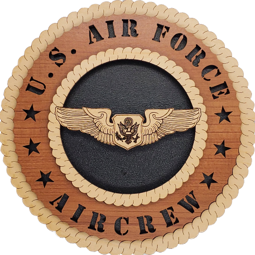 U.S. AIR FORCE OFFICER AIRCREW