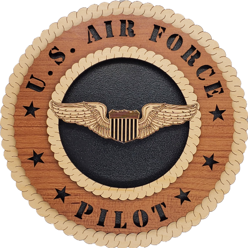 U.S. AIR FORCE PILOT