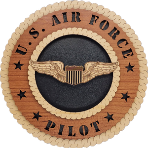 U.S. AIR FORCE PILOT