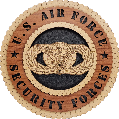 U.S. AIR FORCE SECURITY FORCES L5