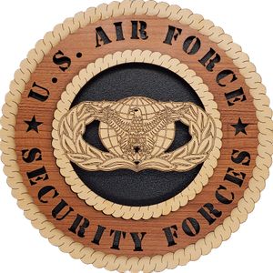 U.S. AIR FORCE SECURITY FORCES L5