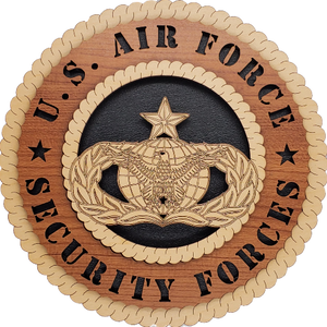 U.S. AIR FORCE SECURITY FORCES L7