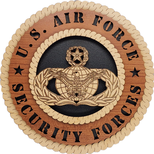 U.S. AIR FORCE SECURITY FORCES L9