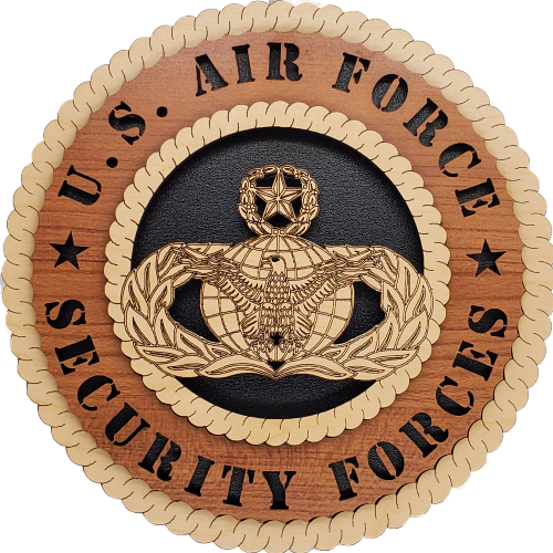 U.S. AIR FORCE SECURITY FORCES L9