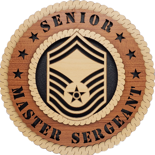 U.S. AIR FORCE SENIOR MASTER SERGEANT