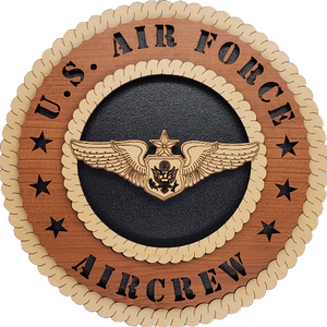 U.S. AIR FORCE SENIOR OFFICER AIRCREW