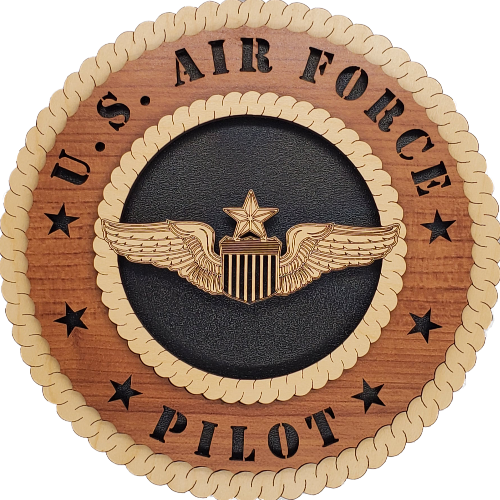U.S. AIR FORCE SENIOR PILOT