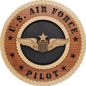 U.S. AIR FORCE SENIOR PILOT