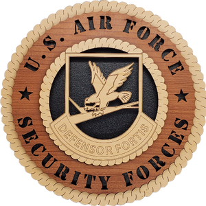 U.S. AIR FORCE SF DEFENSOR FORTIS
