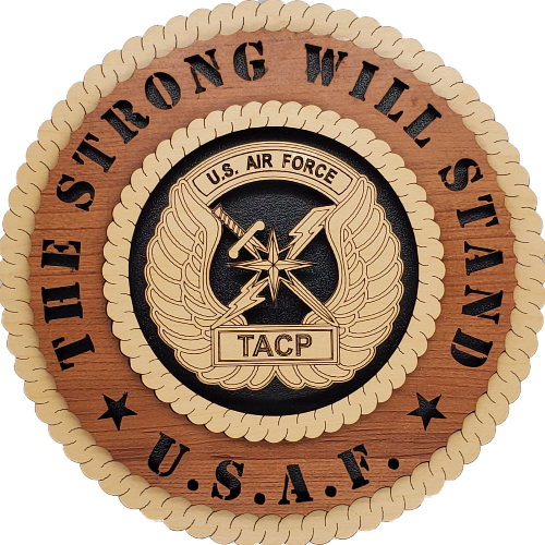 U.S. AIR FORCE TACTICAL AIR CONTROL PARTY (TACP)