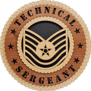 U.S. AIR FORCE TECHNICAL SERGEANT