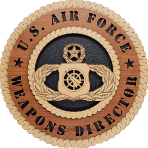 U.S. AIR FORCE WEAPONS DIRECTOR L9
