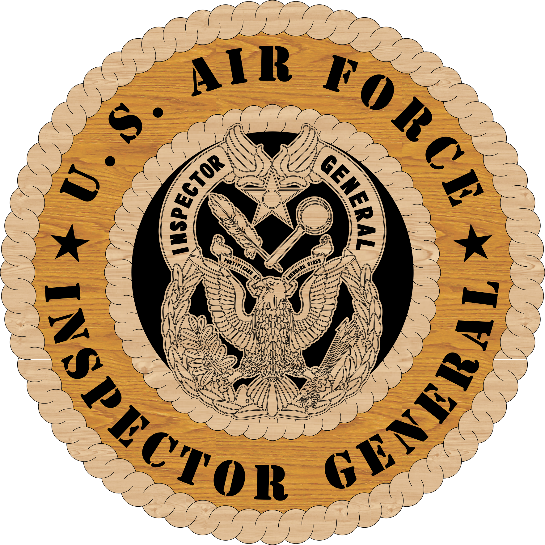 US AIR FORCE INSPECTOR GENERAL