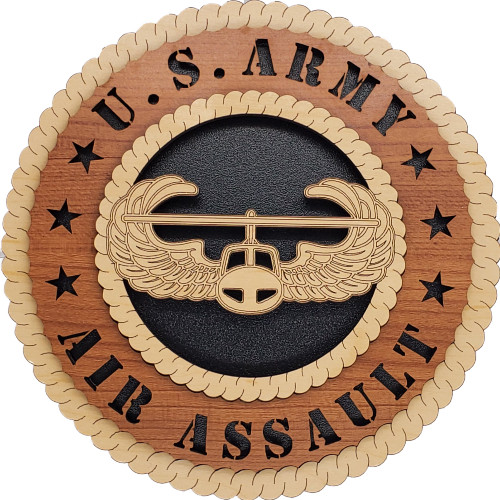 US ARMY AIR ASSAULT