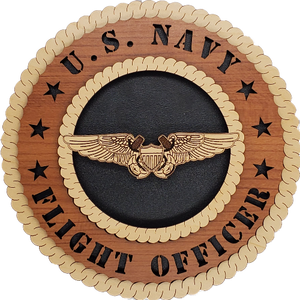 US NAVAL FLIGHT OFFICER