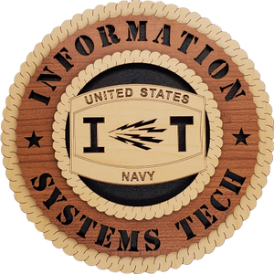 US NAVY INFORMATION SYSTEMS TECHNICIAN (IT)