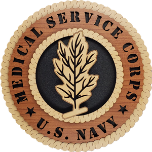 US NAVY MEDICAL SERVICE CORPS