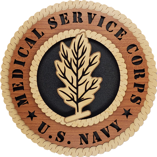 US NAVY MEDICAL SERVICE CORPS